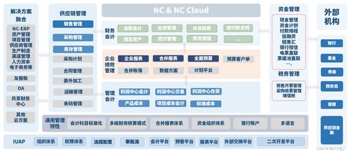 企业级BI应用与实践探索 以用友ERP NC系列产品为例，赋能企业管理新高度