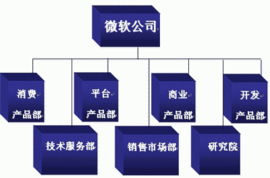 从微软看现代企业文化 研讨交流中的启示与思考